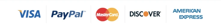 The card and wallet brands accepted at the seller's checkout